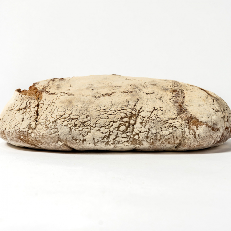 Petit blanc i gruppen Alla produkter / Bröd & Frallor hos Morgonexpressen (gateau-1stpetitblanc)