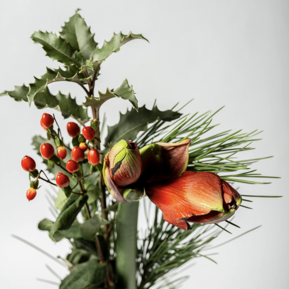 Julbukett i gruppen Alla produkter / Blommor hos Morgonexpressen (moex_julbukett)