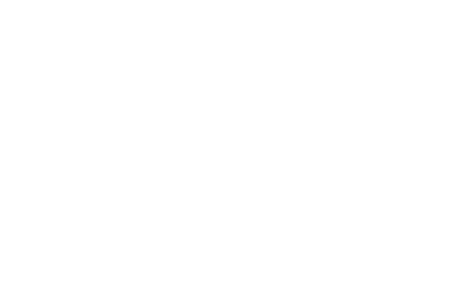 Morgonexpressens logo